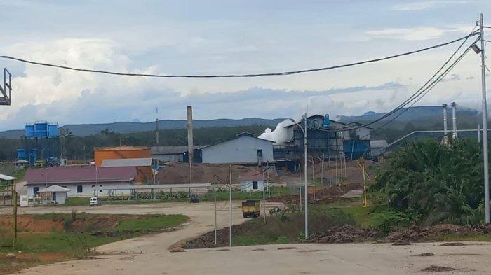 Asap Pabrik Sawit di Seluma Diduga Picu Lonjakan ISPA, DPRD Surati KLHK...Pabrik Sawit Dipinta Berbenah!