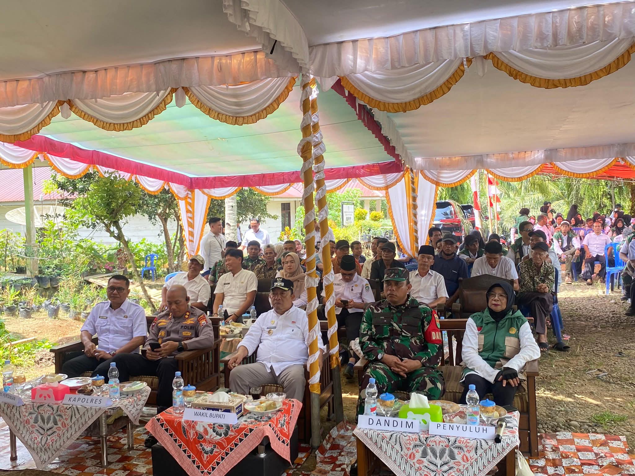 Seluma Surplus 26.642 Ton Beras, Seluma Bisa Jadi Lumbung Pangan 