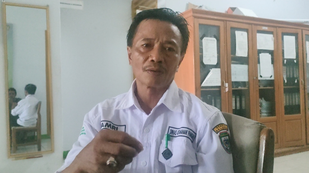 Harga Gabah di Seluma Jika Dijual ke Bulog Rp6.500/kg