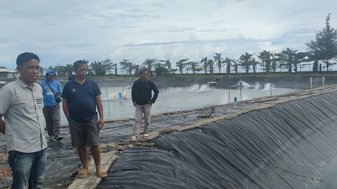 Ternyata Perizinan PT MTS Tak Melalui Pemkab Seluma, Tidak Sesuai Prosedur