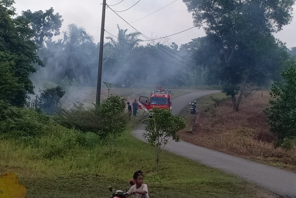 Kebakaran Lahan Kosong di sekitar Laboratorium DLH Seluma, Waspada Musim Kemarau