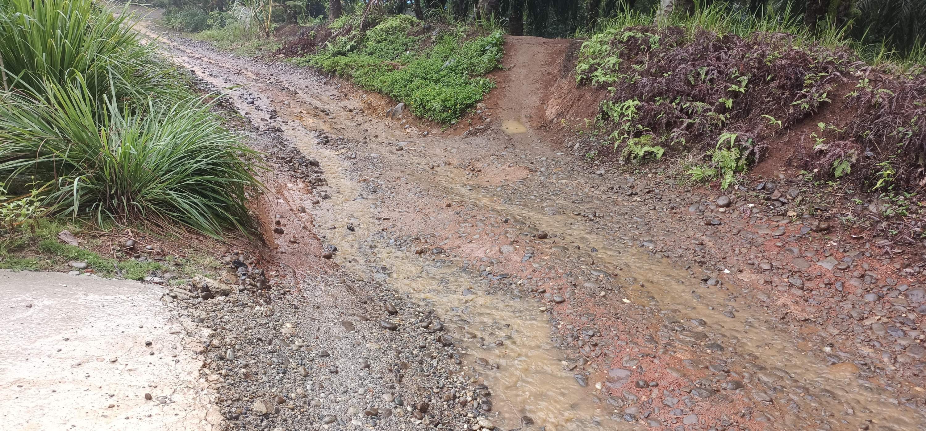 Akses Jalan Kabupaten Menuju Desa Simpang Seluma Utara Rusak, Warga Harap Pembangunan Hotmix
