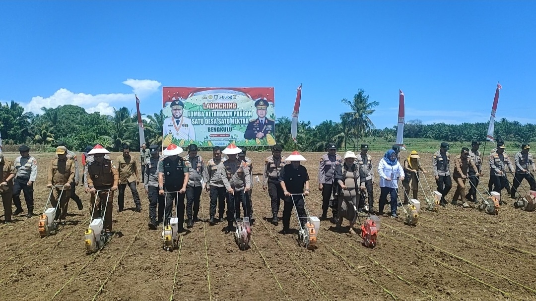 Dari Seluma Gubernur Bengkulu Luncurkan Lomba Ketahanan Pangan 'Sade Sahe', Hadiah Rp 2,2 M