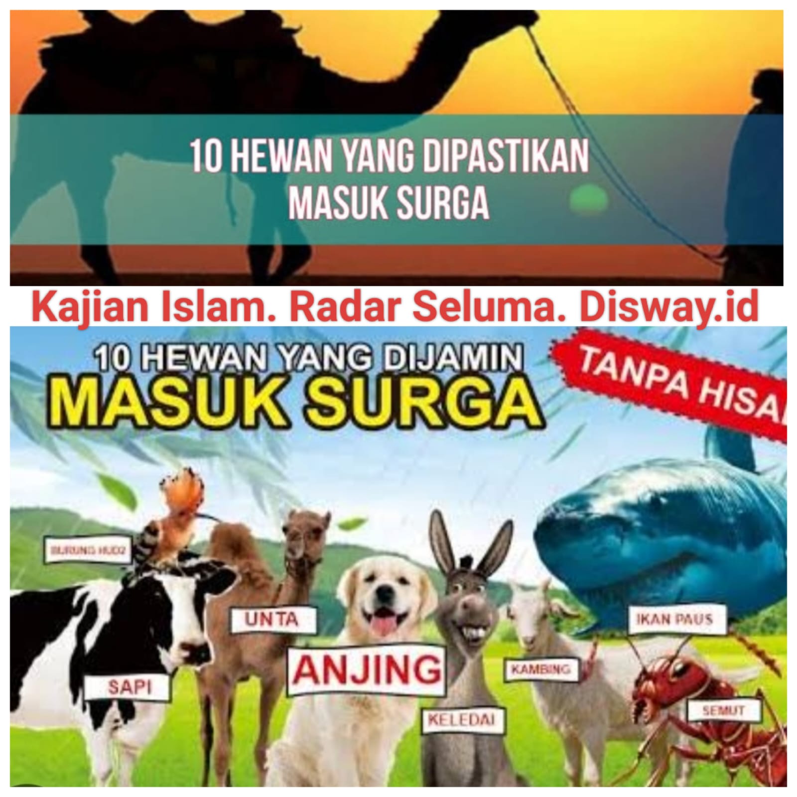 10 Hewan Yang Akan Masuk Surga, Menurut Islam. Ini Faktanya