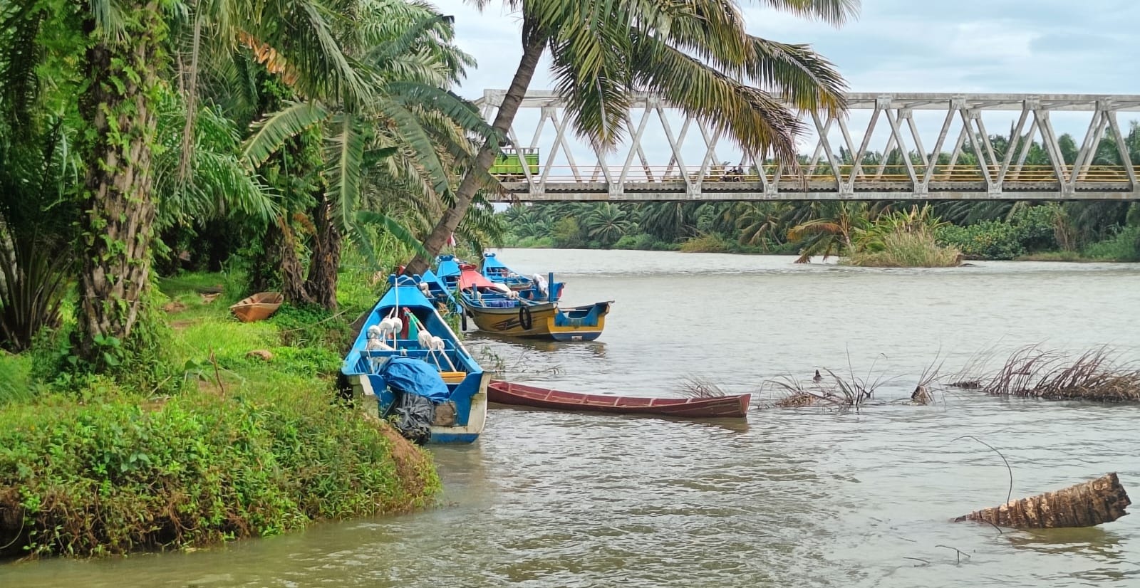  BBM Langka, Nelayan Tak Melaut, Aktivitas Nelayan Pasar Seluma Lumpuh