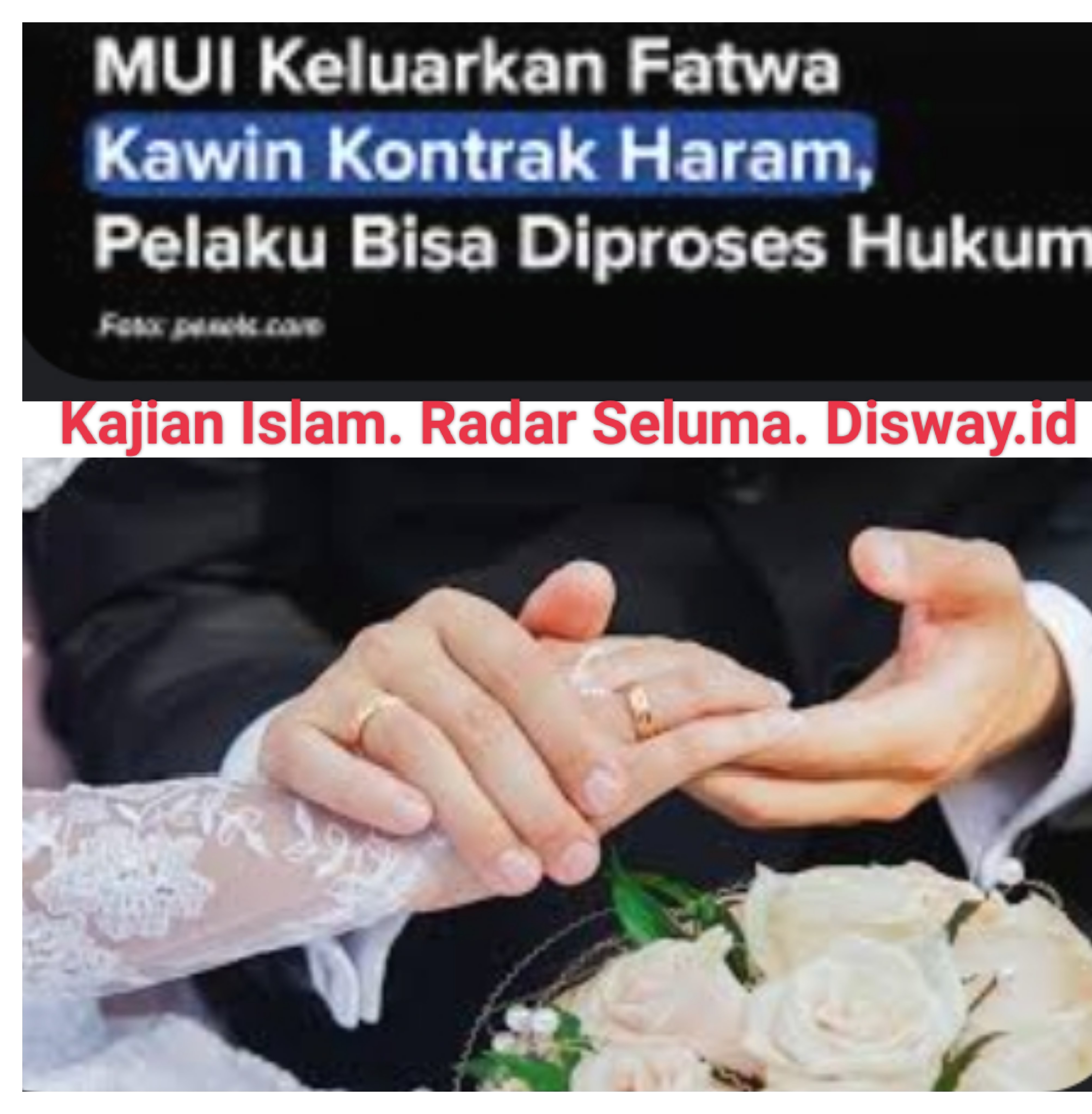  Pandangan Hukum Islam Terhadap Kawin Kontrak..!! Berikut Penjelasan Dalilnya