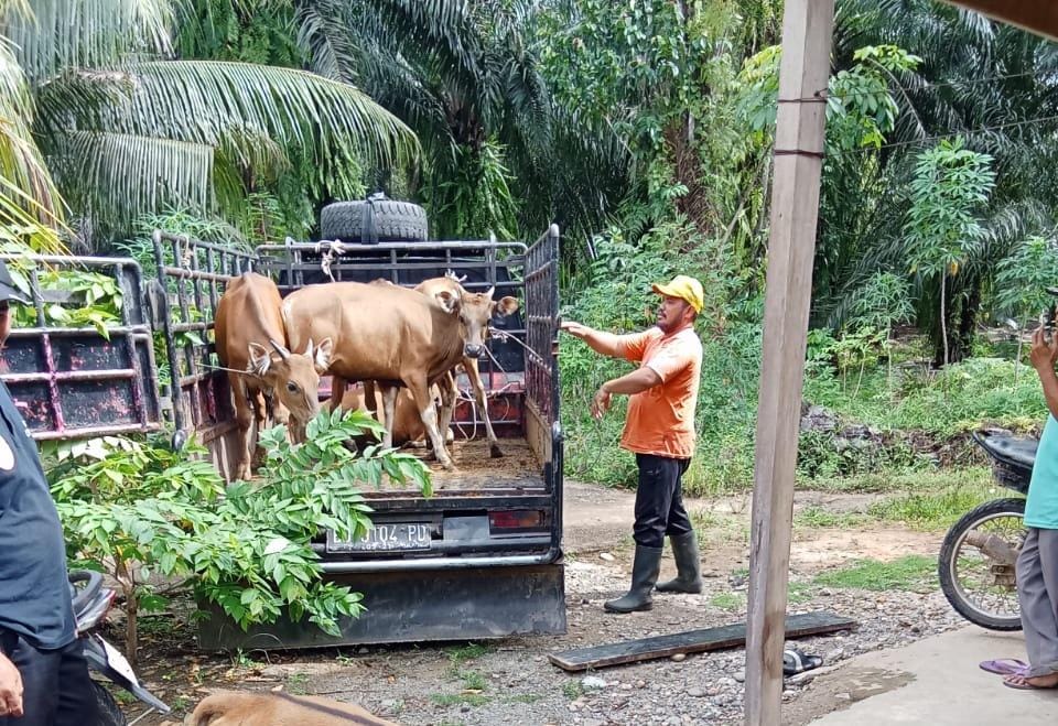 BPD Mekar Sari Laporkan Kades ke Kejari Seluma Terkait Dana Desa 2025