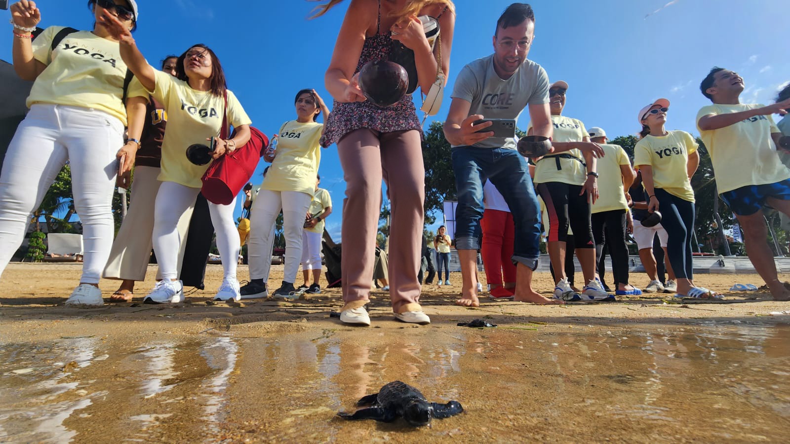 Pelepasliaran Tukik, Wujud Syukur Atas Keberkahan Dari Laut. Sanur Village Festival