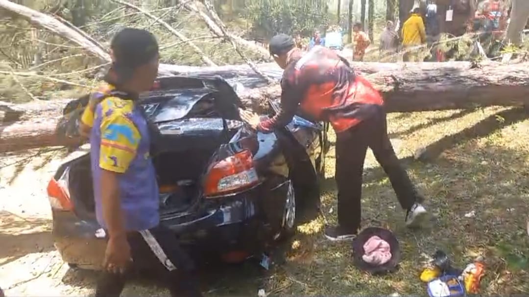  Pohon Tumbang, 2 Mobil dan 1 Motor Penonton Futsal Ditimpa di Seluma