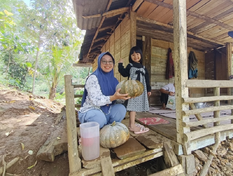 Tanam dan Tunggu Panen Tanpa Perawatan Ektra, Labu Kuning (Pumpkin) Bisa Cegah Kanker