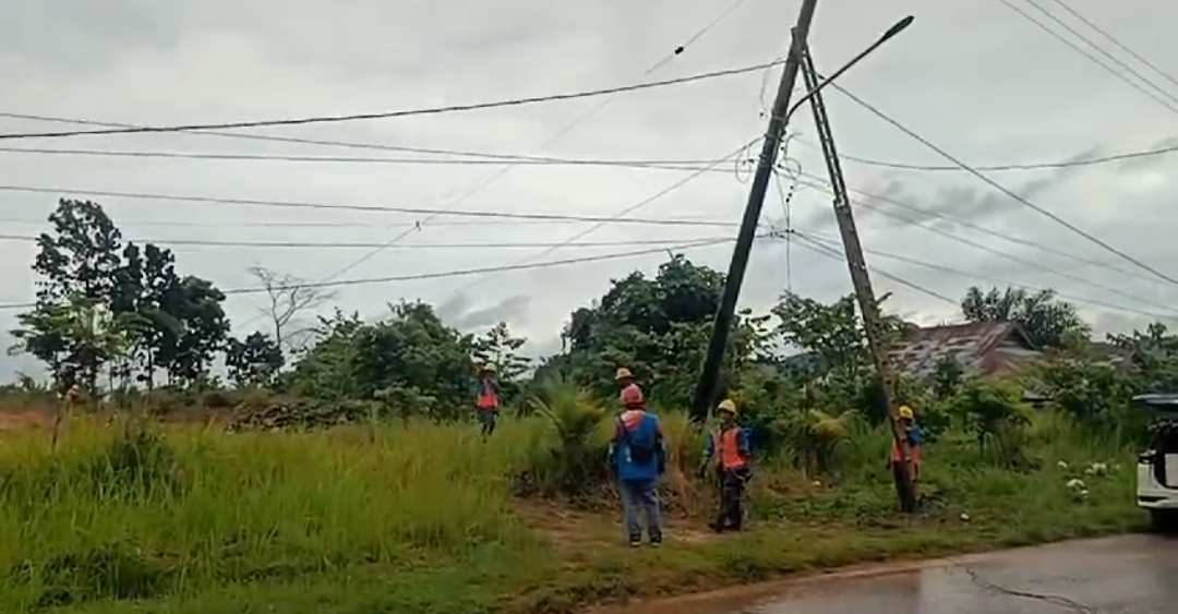 Hujan Badai, 15 Tiang Listrik di Seluma Ambruk! Lampu Mati Sampai Malam