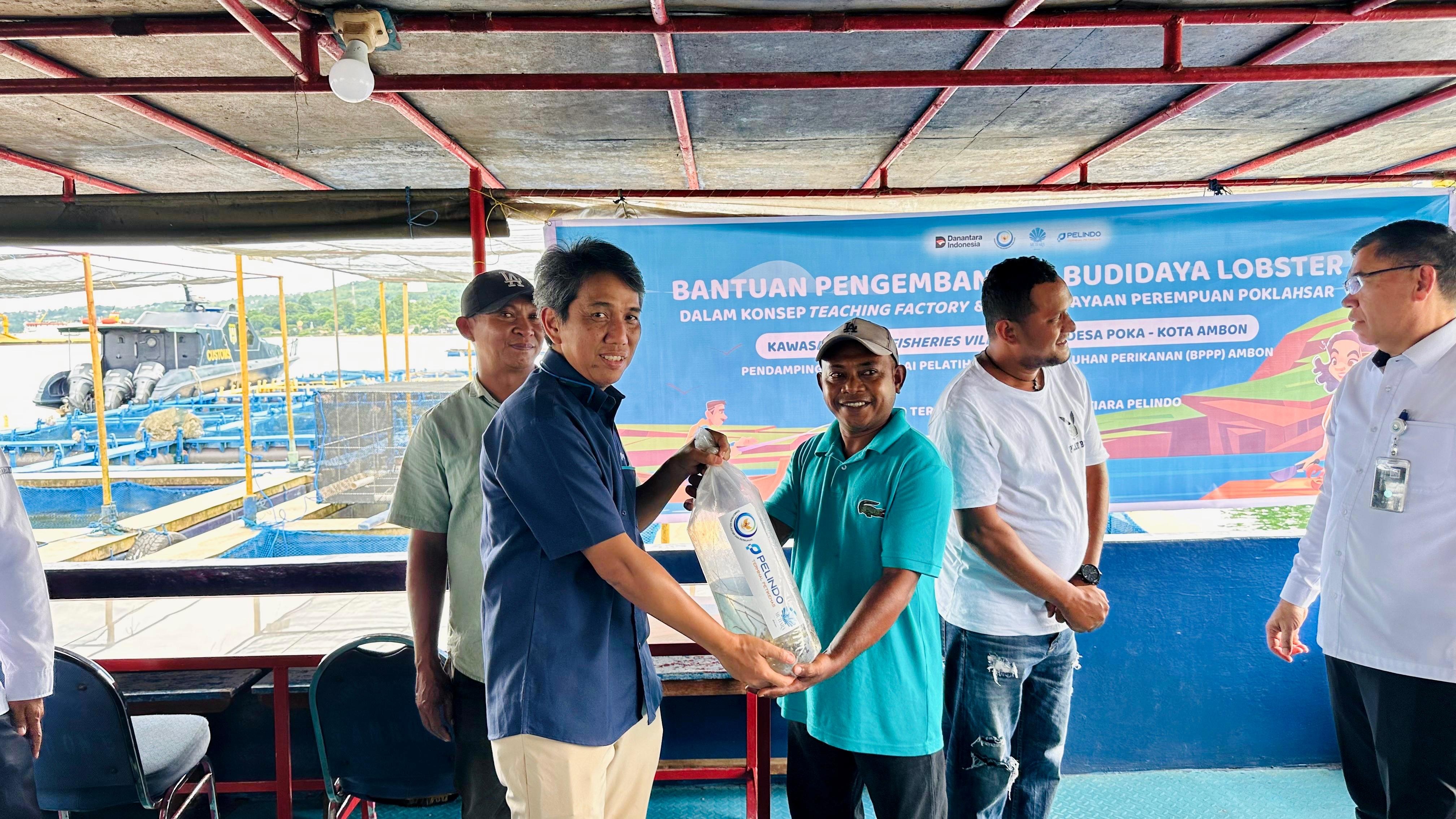  Pelindo Terminal Petikemas Dukung Pengembangan Usaha Budidaya Lobster di Ambon