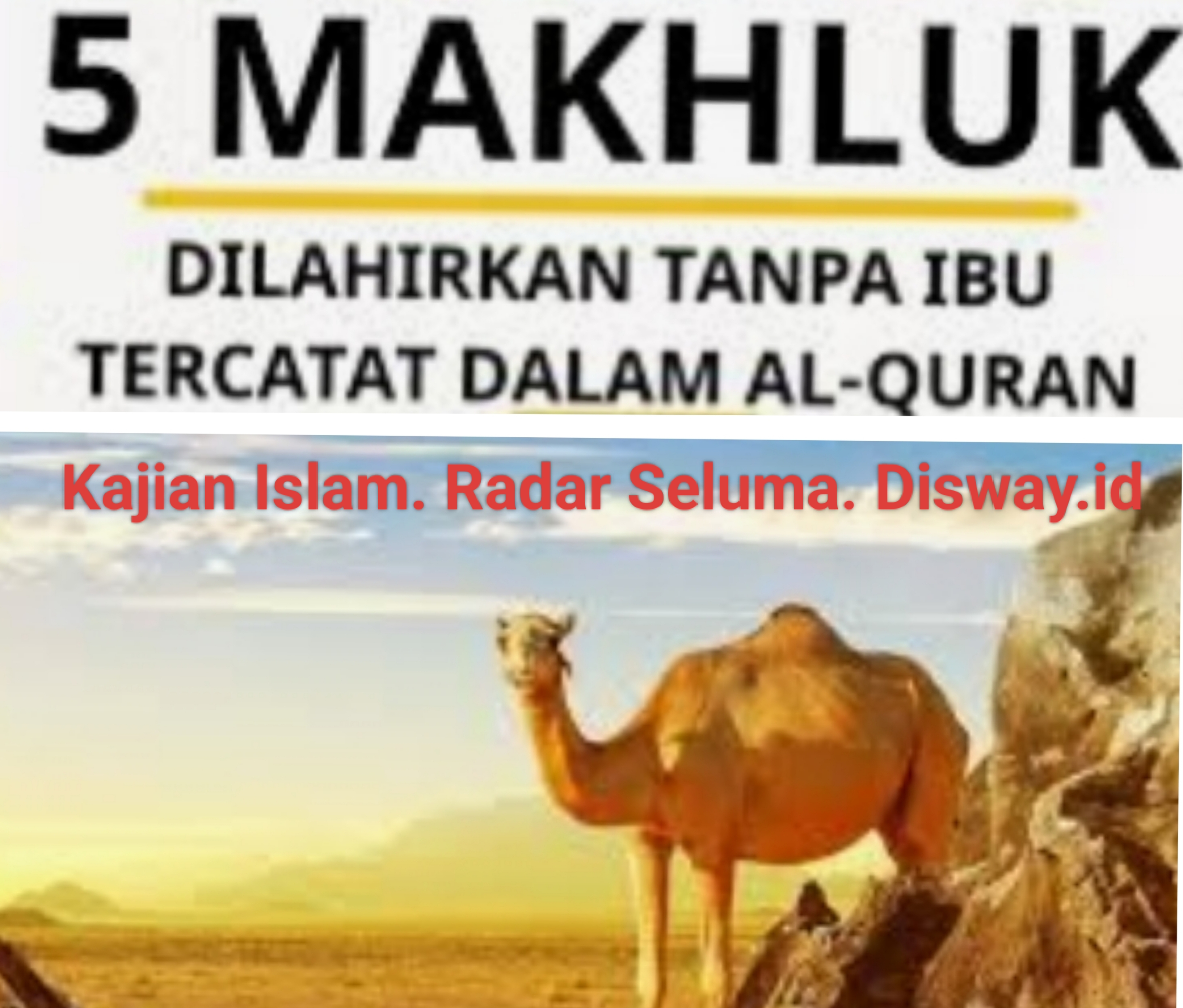 5 makhluk terlahir tanpa ibu 