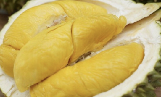 Trik Paling Ampuh Makan Durian Seluma, Agar Tidak Mabuk Simak Disini.... 