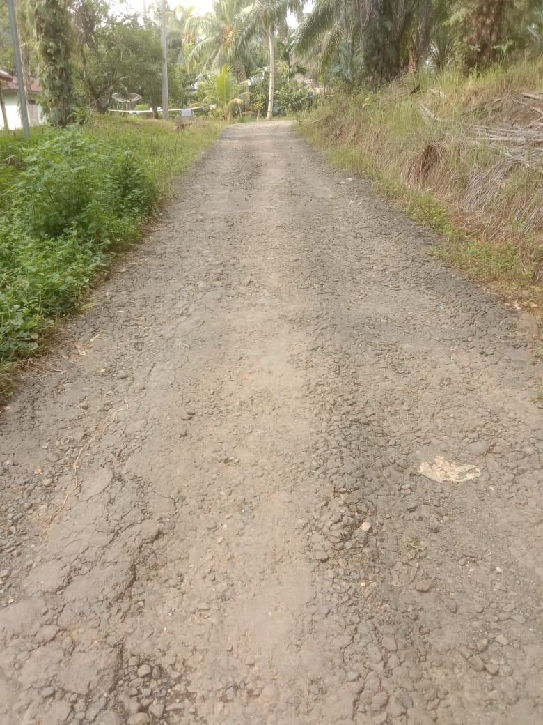  Ada Jalan Link Kabupaten  di Seluma, Dibangun Gunakan Dana Desa?