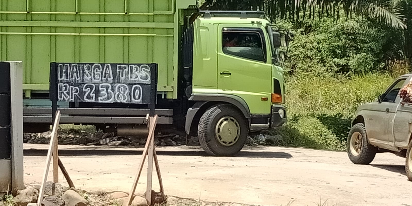 Terus Naik, Harga Sawit di RAM Capai Rp. 2.380/Kg