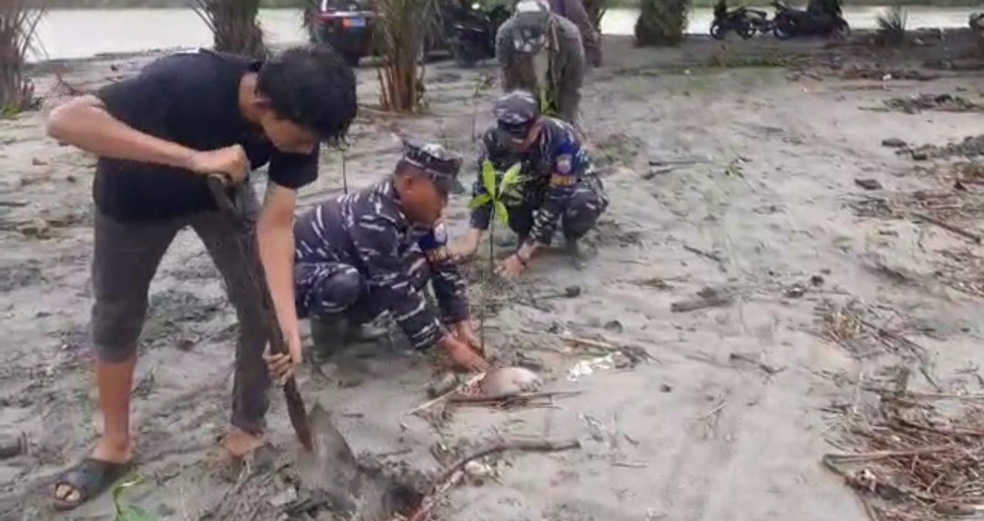  Antisipasi Abrasi, TNI AL dan Masyarakat Tanam Ratusan Pohon Mangrove