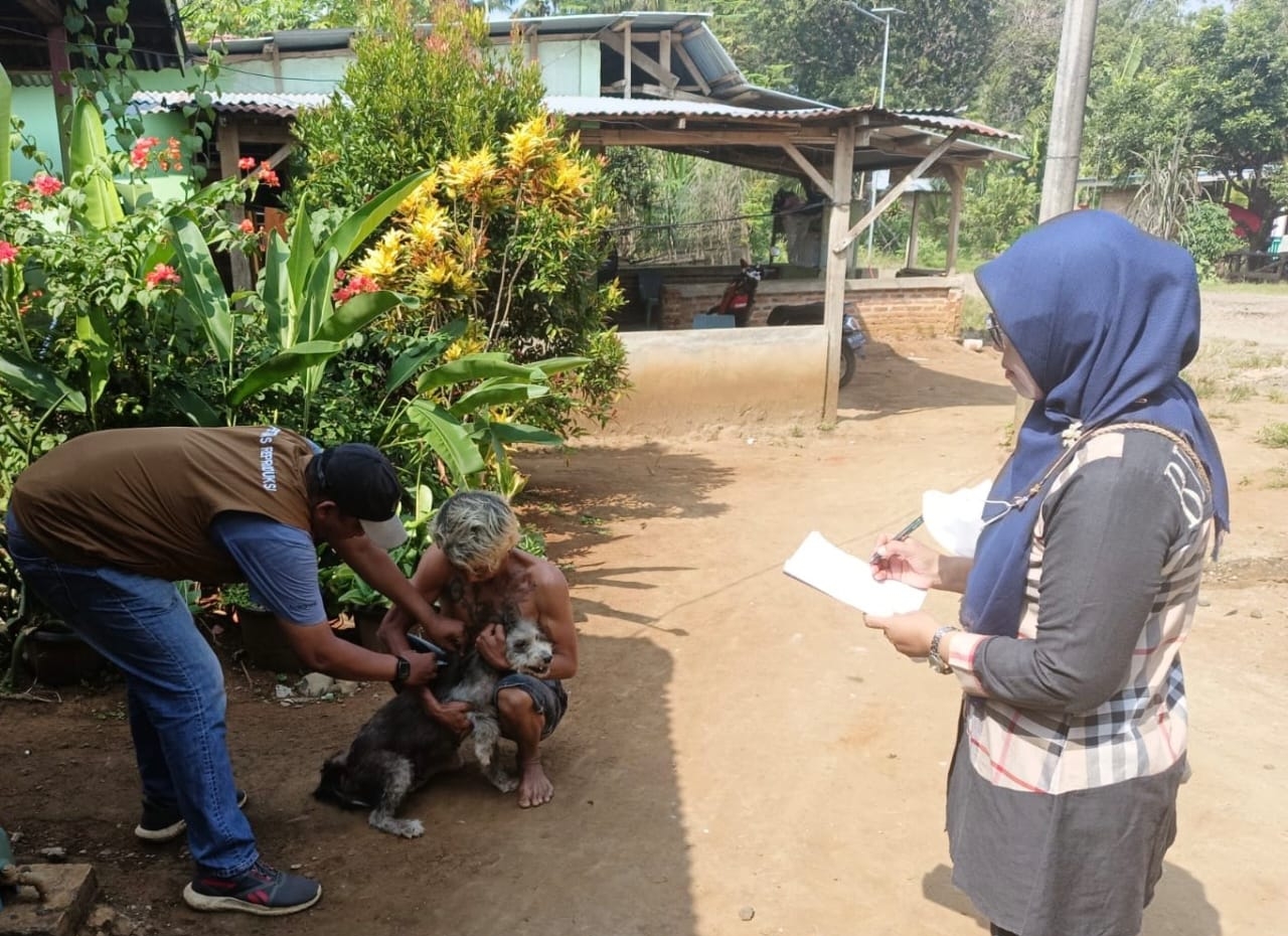  Sudah 90 Kasus  Gigitan Hewan Penular Rabies di Seluma, Dinkes Pastikan Vaksin Aman