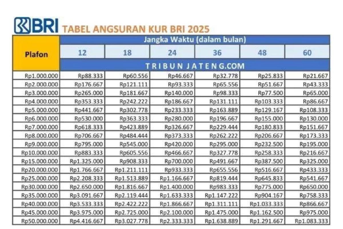 Estimasi Pinjaman KUR BRI 2025 dengan Bunga Ringan, Berikut Tabel Pinjaman Rp 50 Juta - Rp 300 Juta