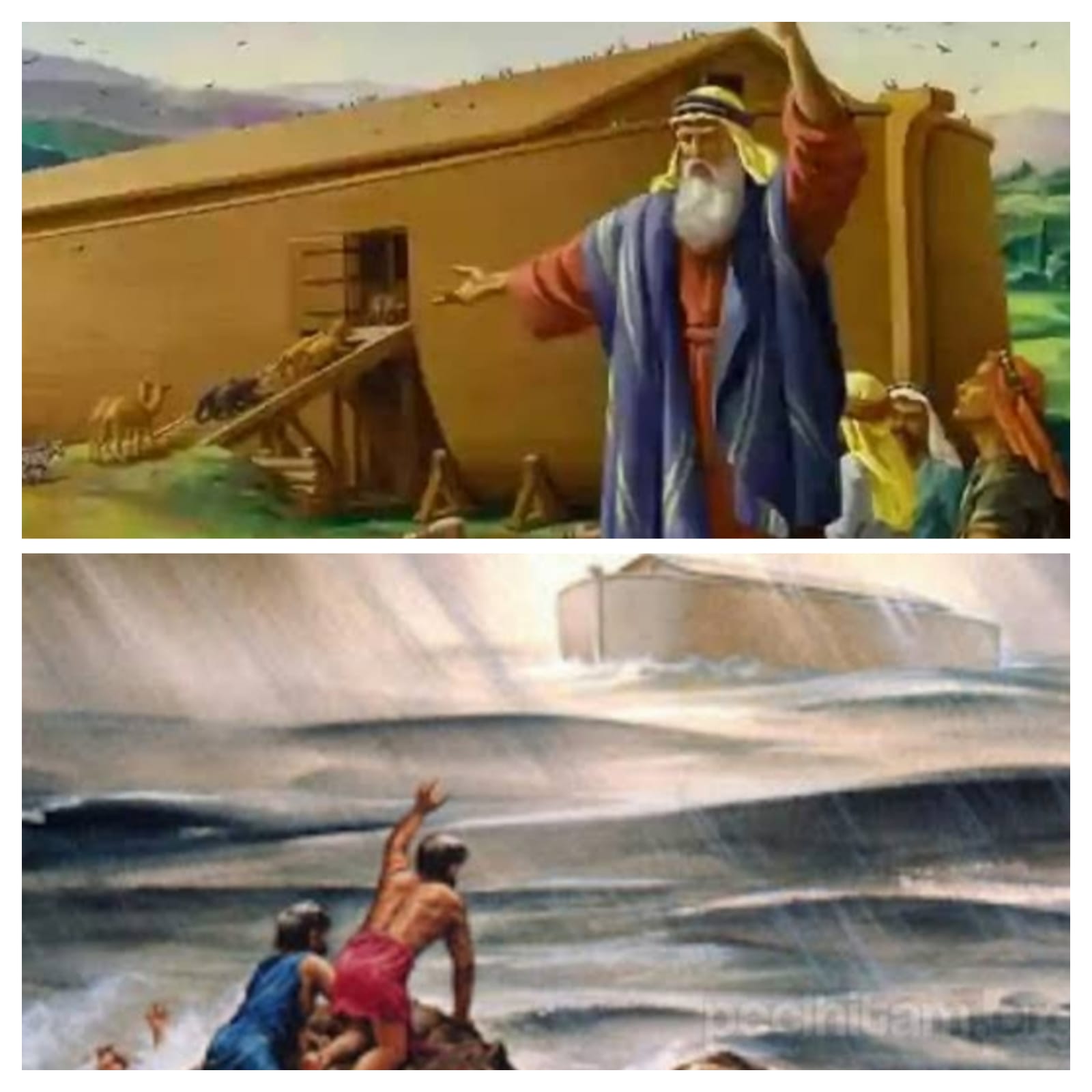  Kisah Istri dan Anak Nabi Nuh yang Durhaka! Langsung Dapat Azab Allah