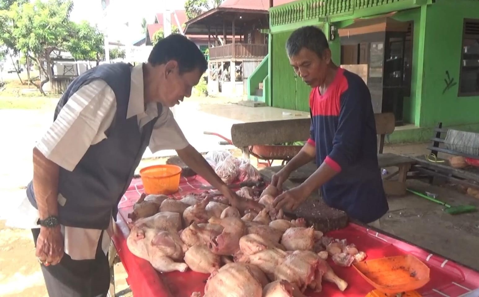  Pasca Lebaran, Harga Ayam di Seluma Berangsur Turun