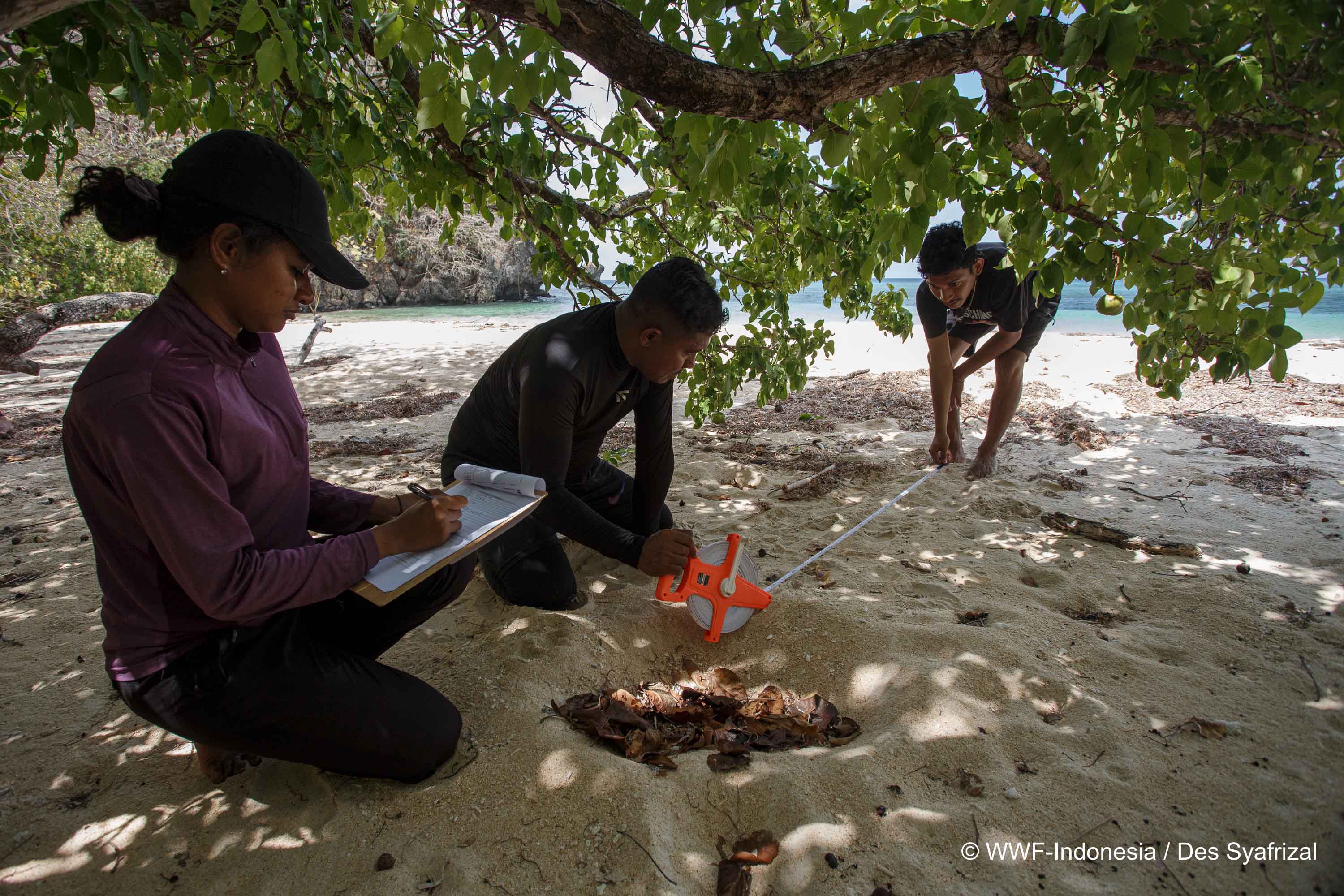   Menyibak Keajaiban Biota Kunci Kepulauan Tersembunyi beranda Nusantara