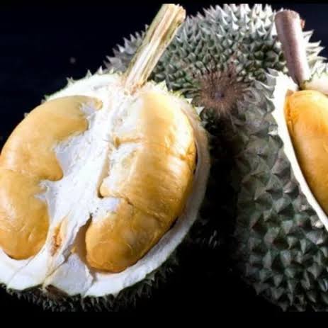 Berikut Daerah Di Indonesia Terdapat Durian Hitam