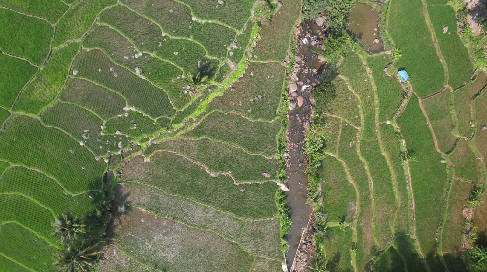 Pembangunan Harus Berkeadilan, Reforma Agraria Jawab Ketimpangan Penguasaan dan Pemilikan Tanah