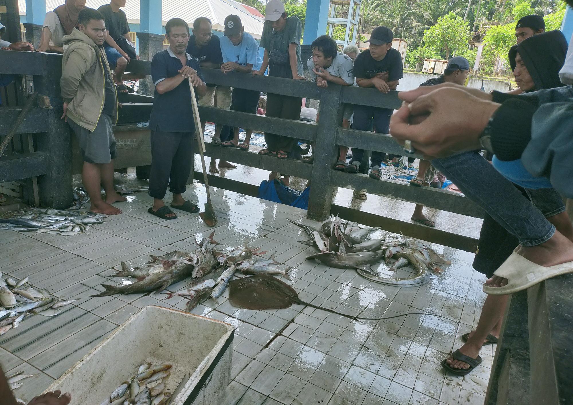 Permintaan Tinggi, Harga  Ikan di BS Mahal