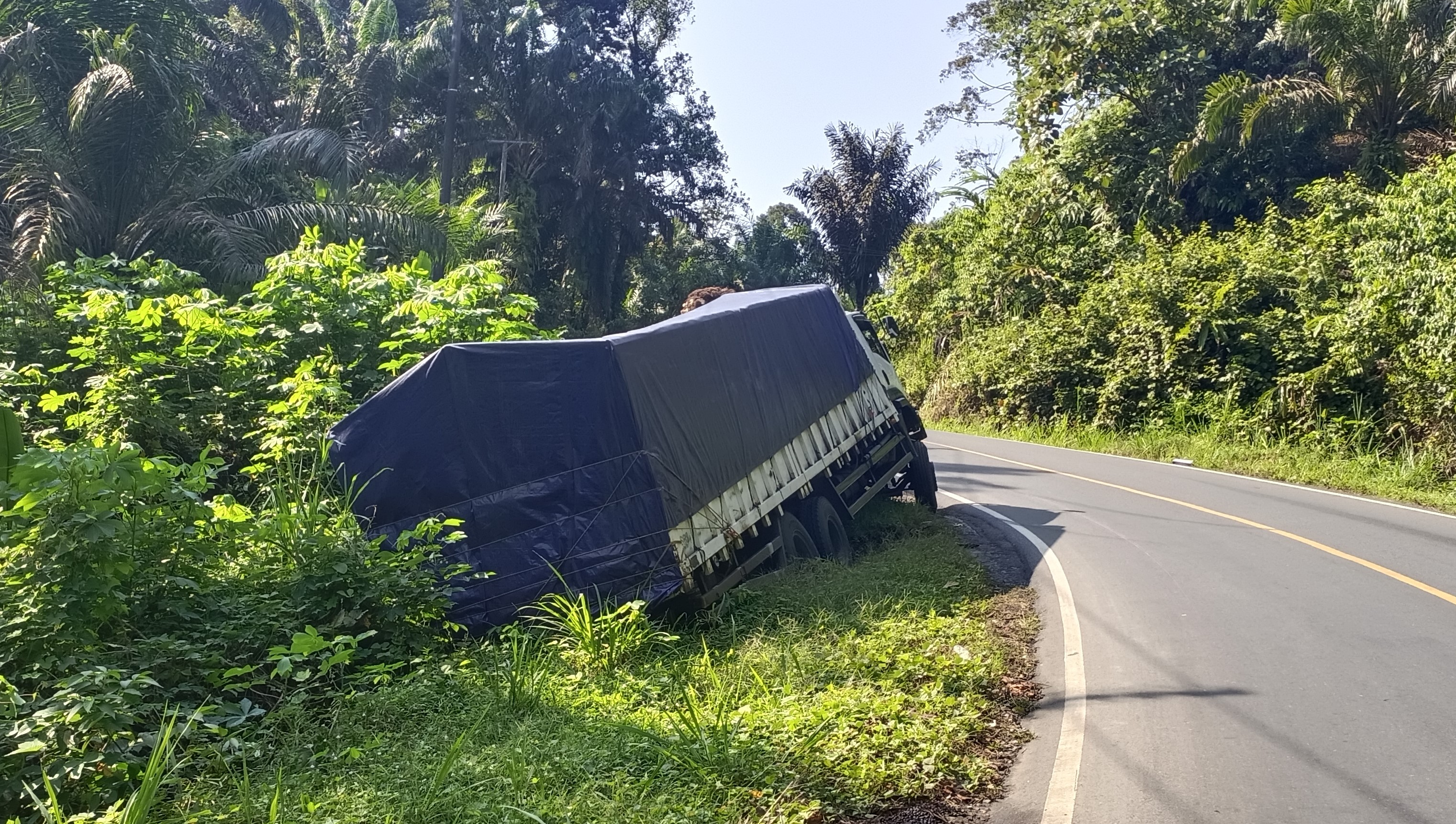   Hindari Travel, Mobil Truk Tronton Muatan Bungkil 28 Ton Masuk Siring 