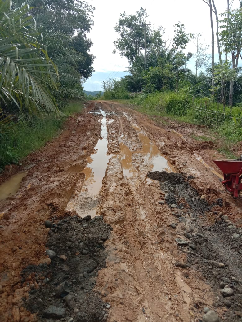 Parah Ini,  Kalau Hujan, Warga Tanjung Kuaw Terkurung