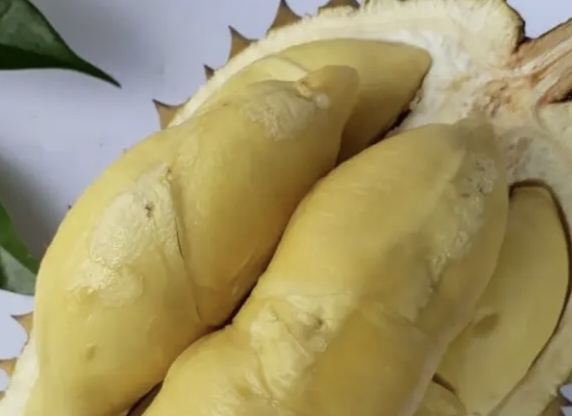 Buah Durian Asal Seluma Rasanya Enak Isinya Terbal, Aroma Baunya Menggoda Harga Murah Cocok Jadikan Es Campur