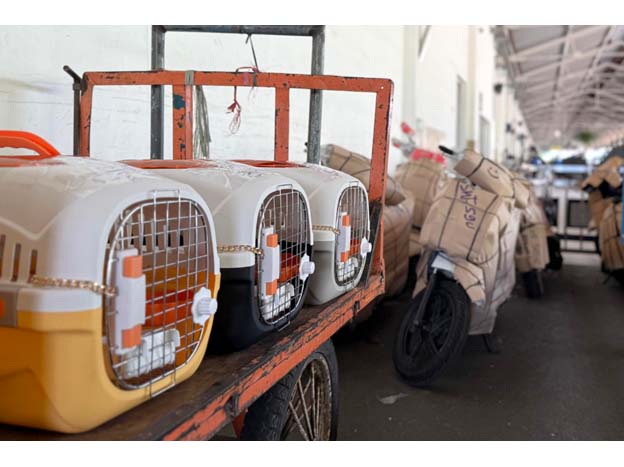   KAI Logistik Catat Pengiriman Lebih Dari 116 Ribu Hewan Peliharaan Hingga Triwulan III Tahun 2025