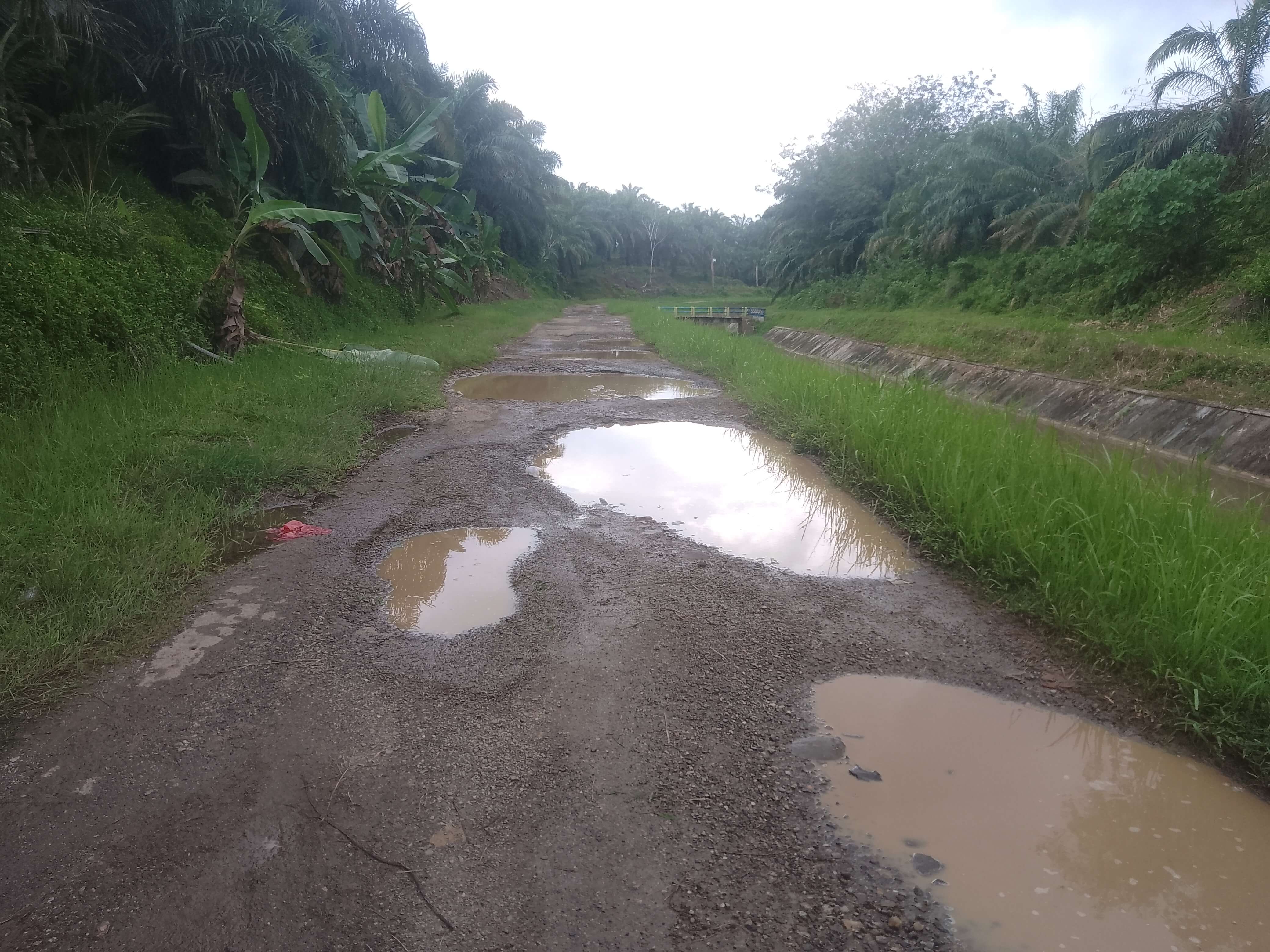 Jalan Padang Rambun ke Pemda Seluma Rusak Parah