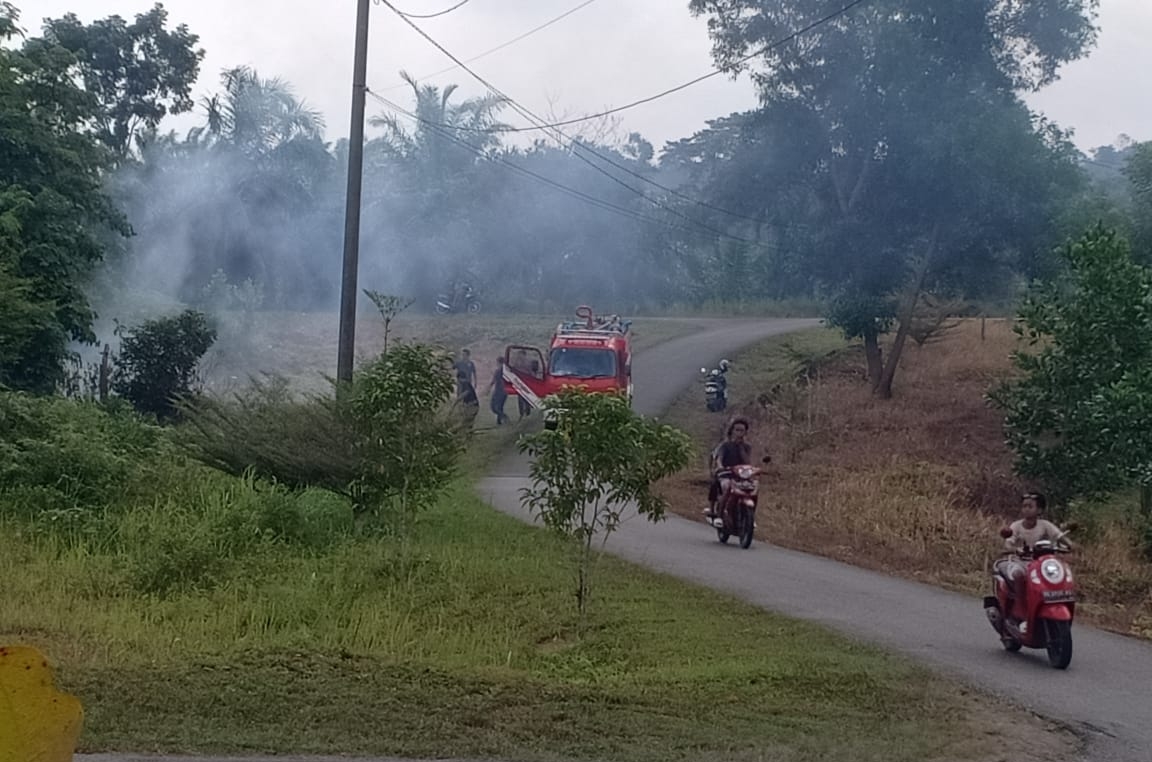  Damkar Seluma Minta Jangan Buka Lahan Dengan Dibakar, Sedang Musim Kemarau Berbahaya