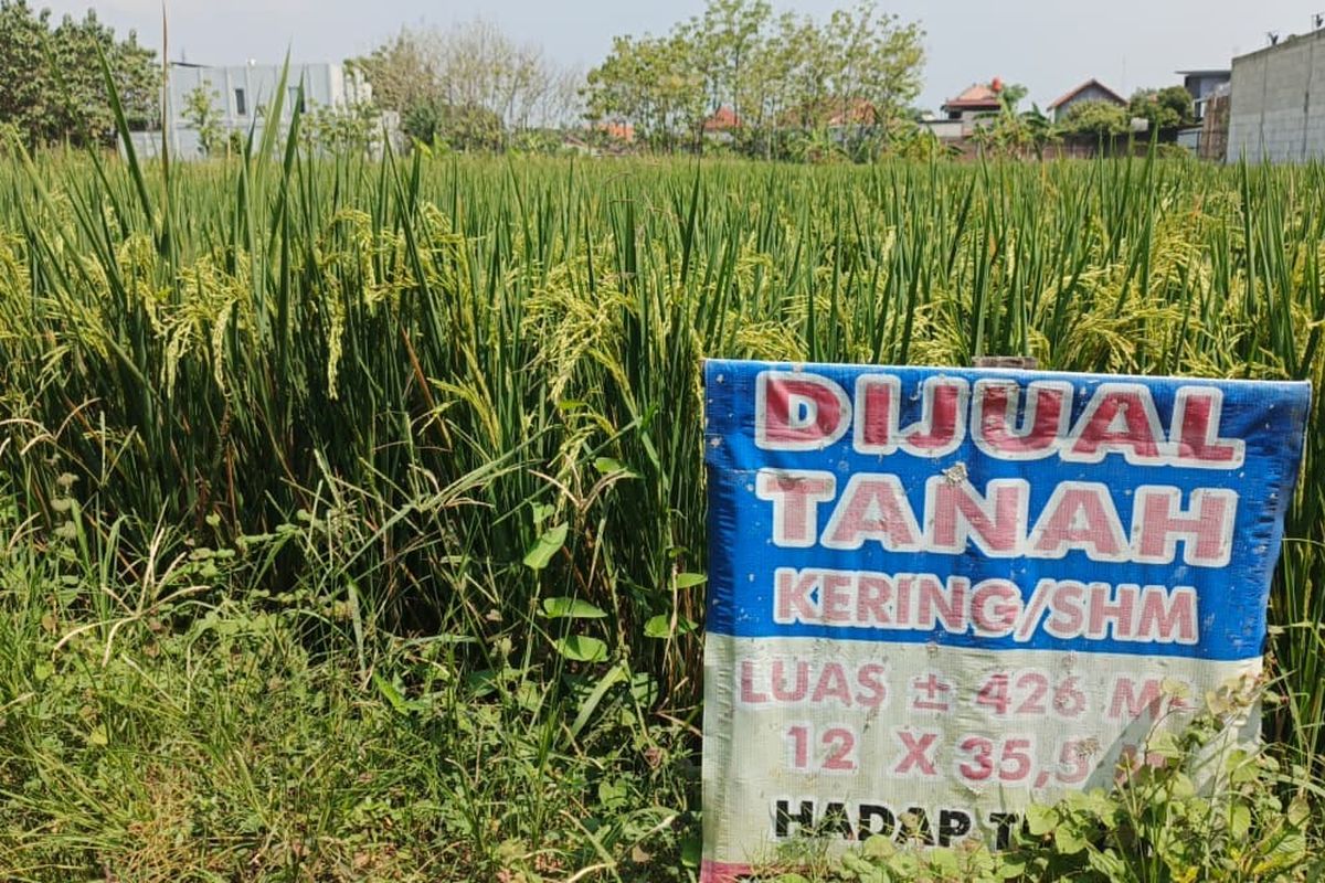 Meski Menang di Pengadilan, Mengapa Tanah Sengketa Belum Tentu Kembali ke Pemiliknya? Ini Penyebabnya