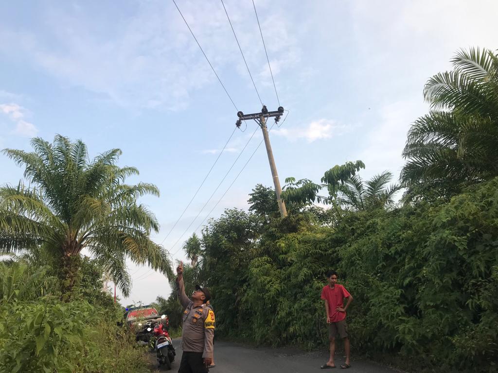 Cek Pekerja Panen Sawit, Anak Mantan Dewan Seluma Tewas Kesetrum