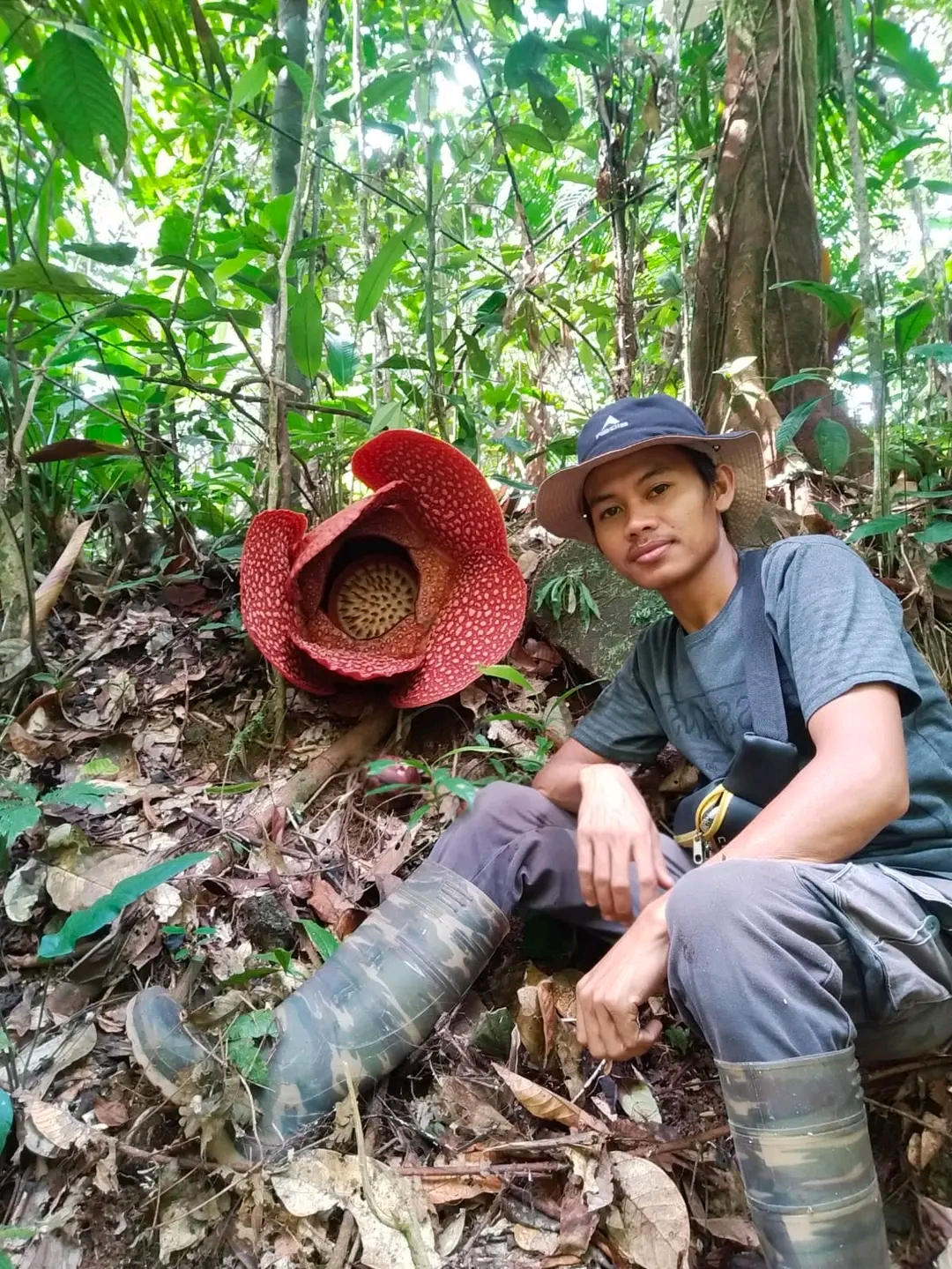 Kunjungi Kedurang Manna, Ada Bunga Refflesia Lagi Mekar