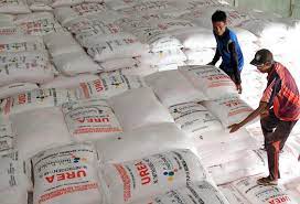 Alokasi Pupuk Subsidi di Bengkulu, Capai 42,212 Ton