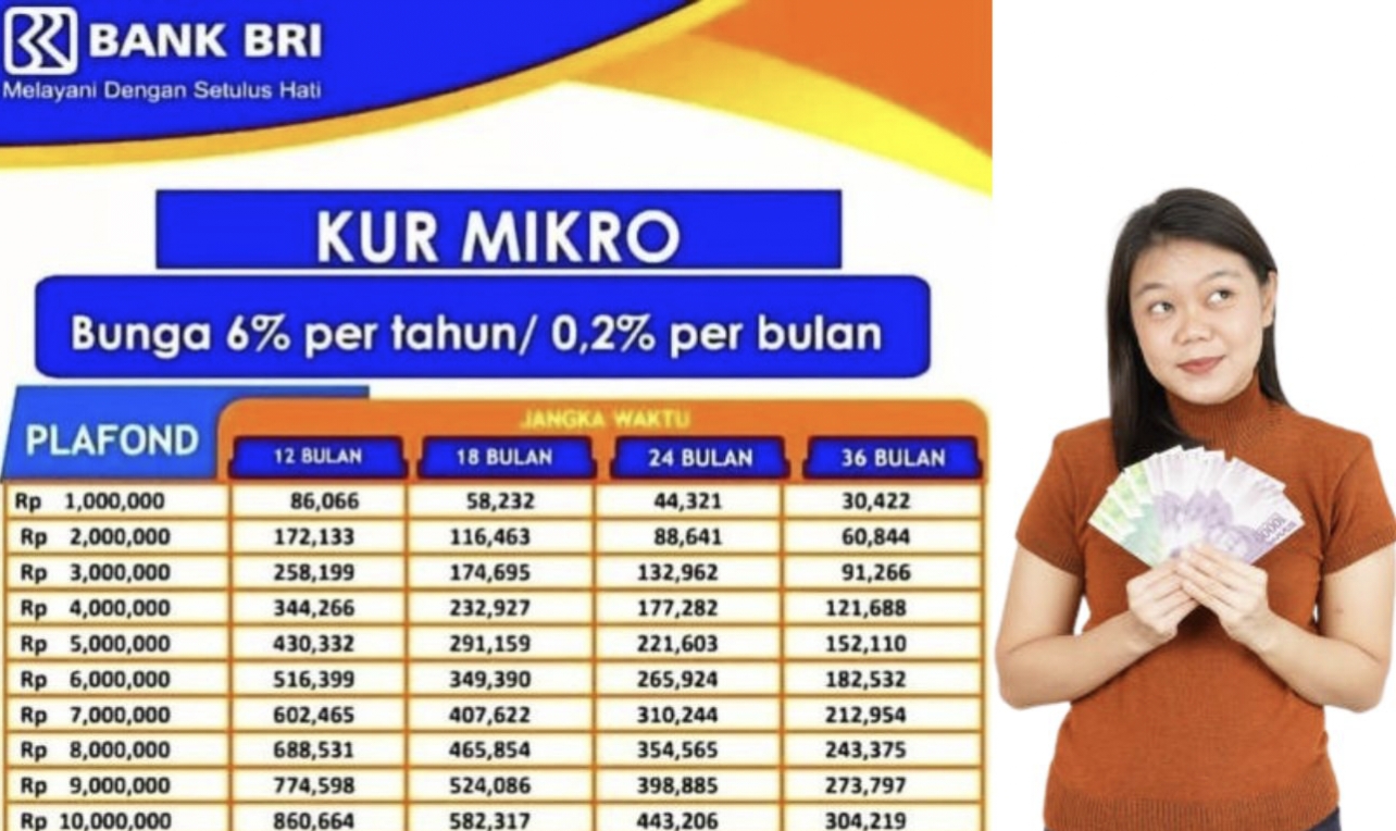 Ini Dia Daftar Pinjaman KUR BRI 2023. Hingga Puluhan Juta Dengan Mudah