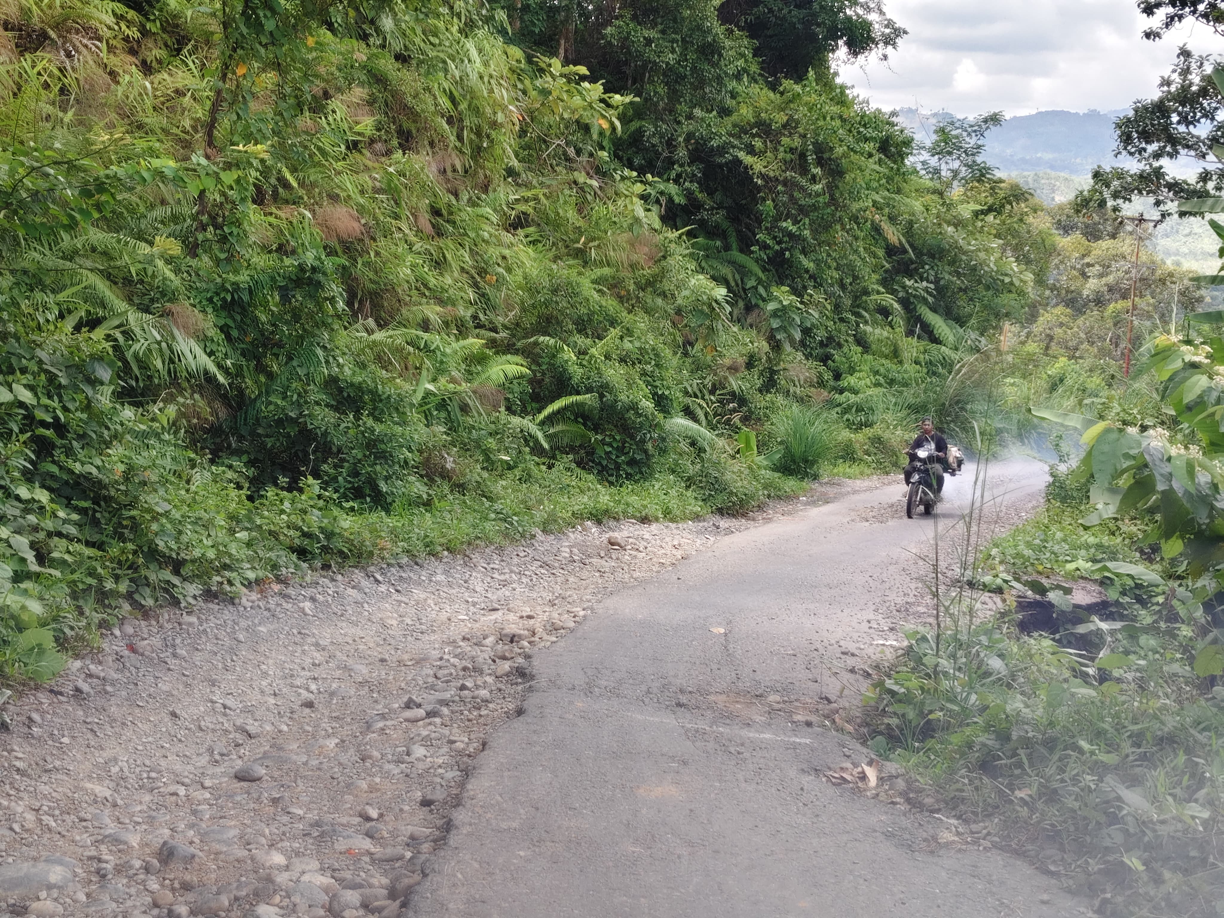Berharap Didengar, Pasrul Hamidi Minta Pemda Perbaiki Jalan Longsor Menuju 6 Desa di Kecamatan Lubuk Sandi