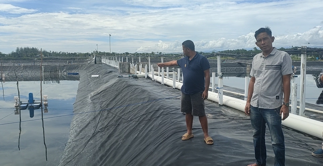 Penyebab Tewasnya Kepala Kelistrikan Tambak Udang PT MTS, DPRD Seluma Minta APH Selidiki