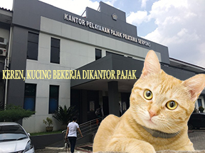 (VIRAL) Kisah Kucing Berprofesi Pegawai Pajak di Serpong, Gajinya...?