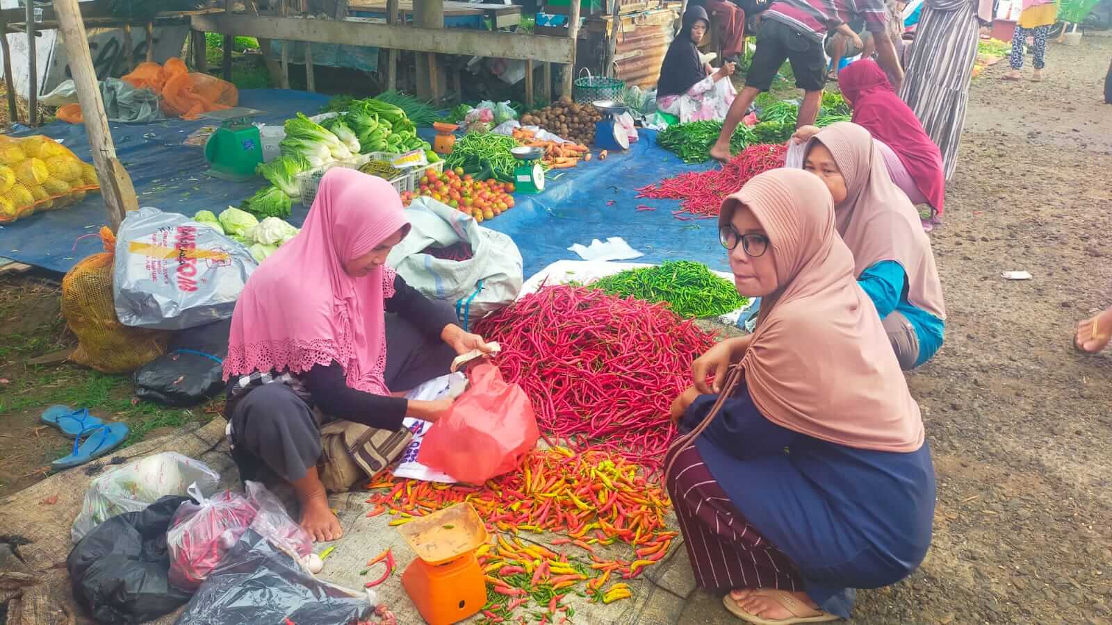 Harga Cabe Murah Masyarakat Senang, Tetapi Petani Merugi