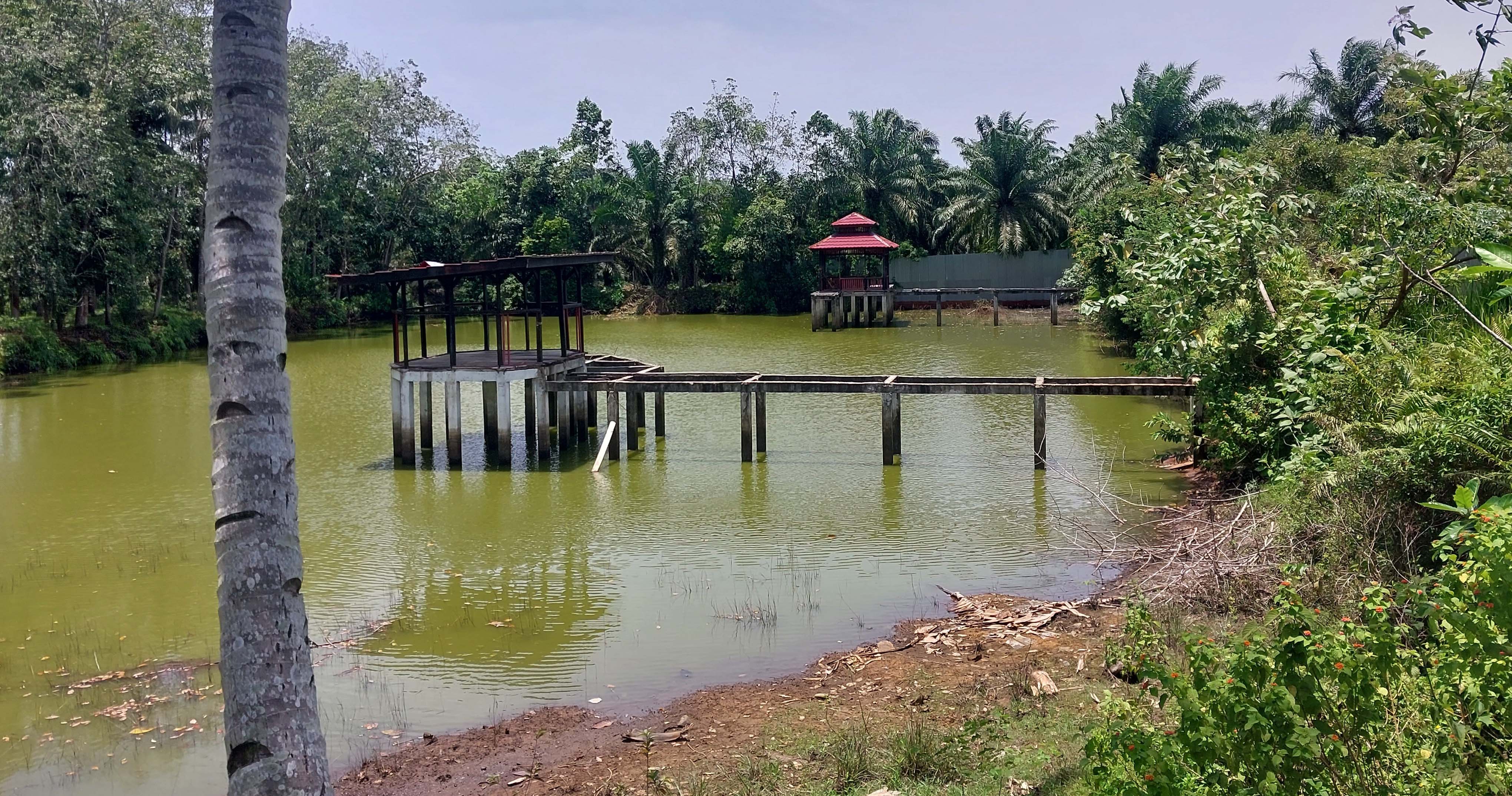   Proyek Ratusan Juta Kolam Pemancingan di Lokasi Baru Seluma Terbengkalai