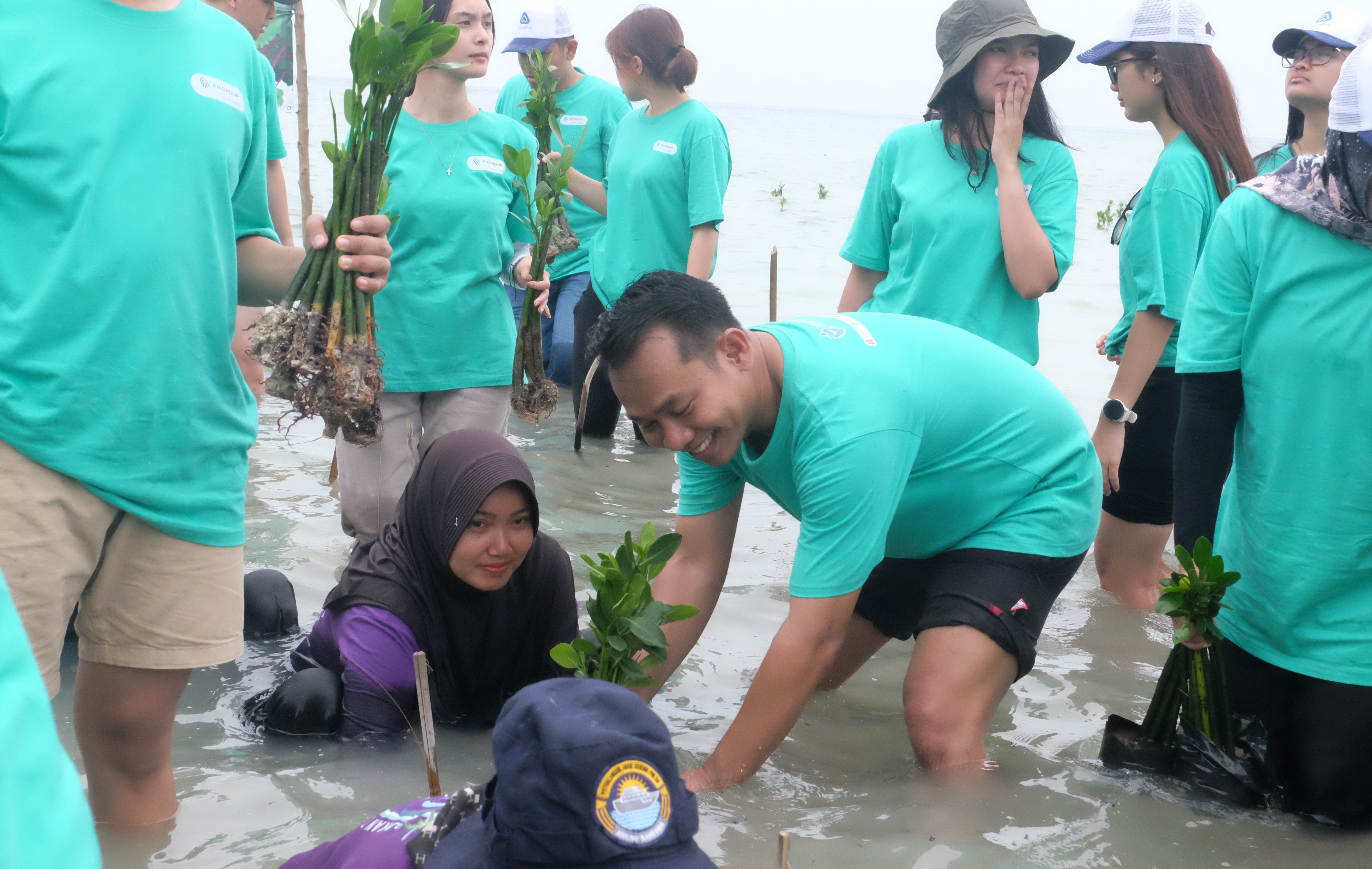  Komitmen FIFGroup Bagi Lingkungan, Pulai Pari Ditanami Mangrove