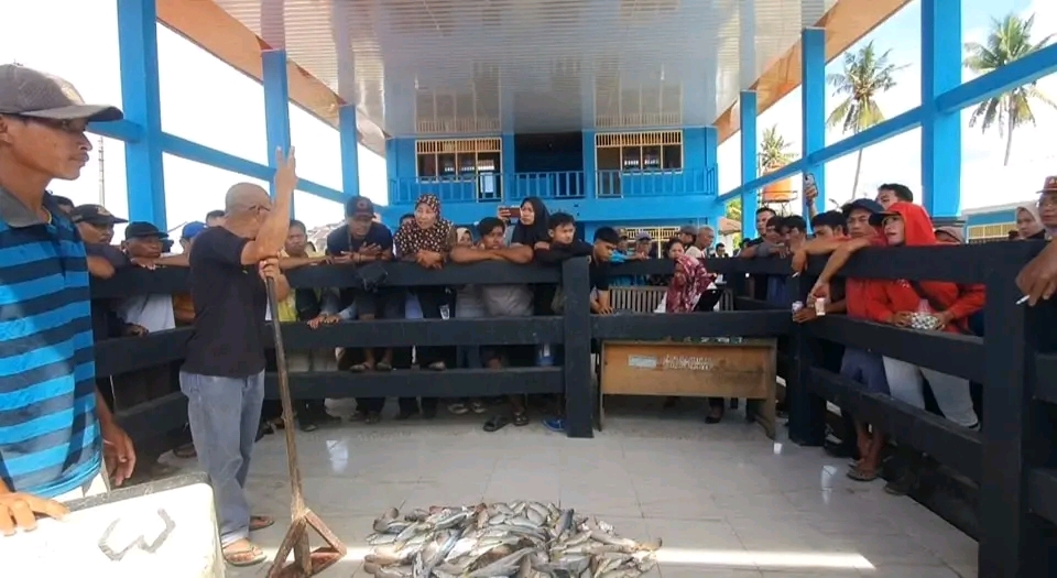  Tempat Pelelangan Ikan Bengkulu Selatan Sudah Direhap, Sektor  Pengembangan Perikanan