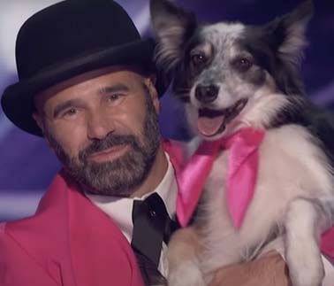  Anjing Hurricane Antarkan Tuannya Adrian Stoica Juara AGT 2023, Berikut Anjing yang Pernah Jadi Bintangi Film