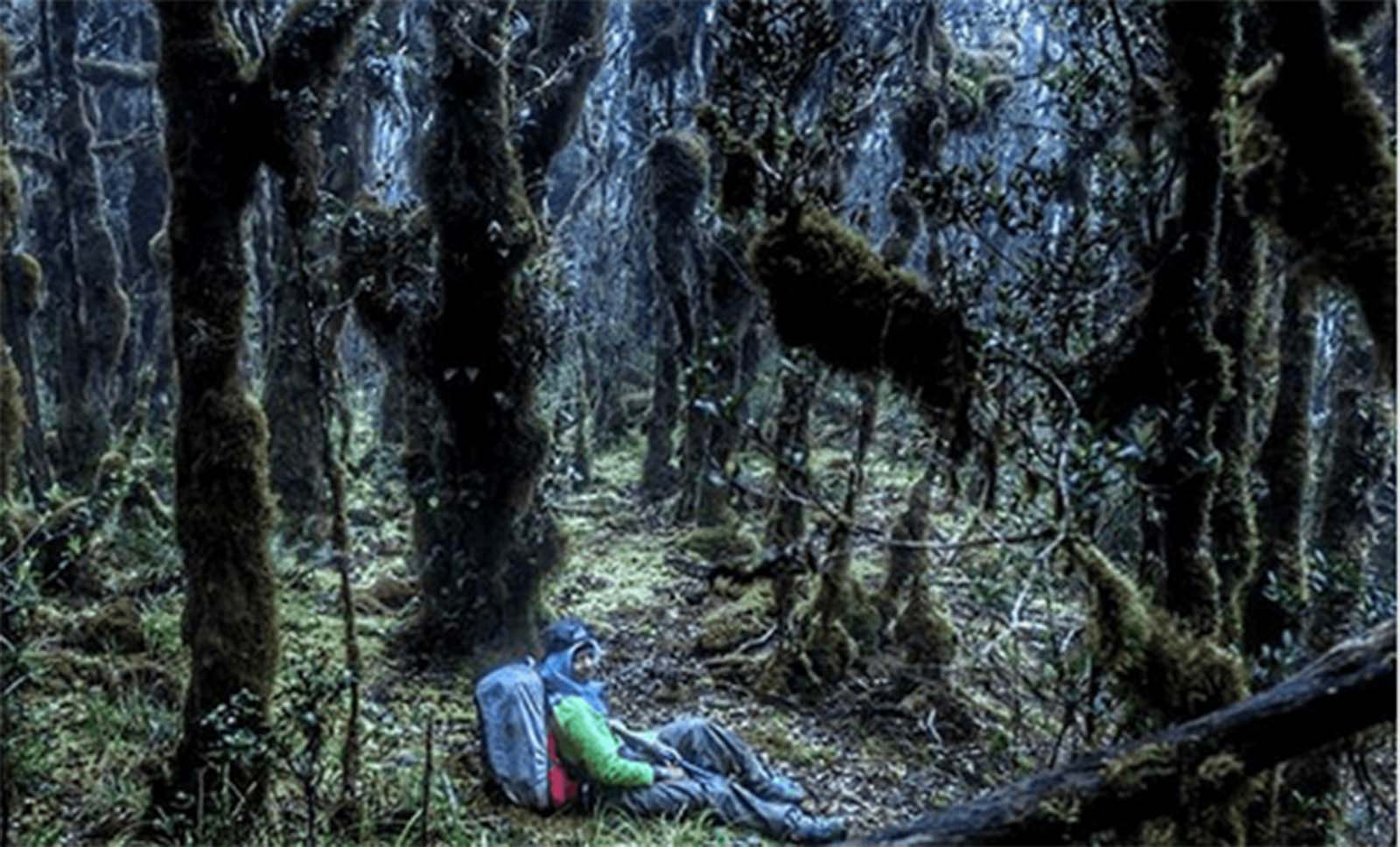 Daftar Gunung di Indonesia yang Memiliki Keindahan yang Luar Biasa Dengan Misteri yang Mengerikan!