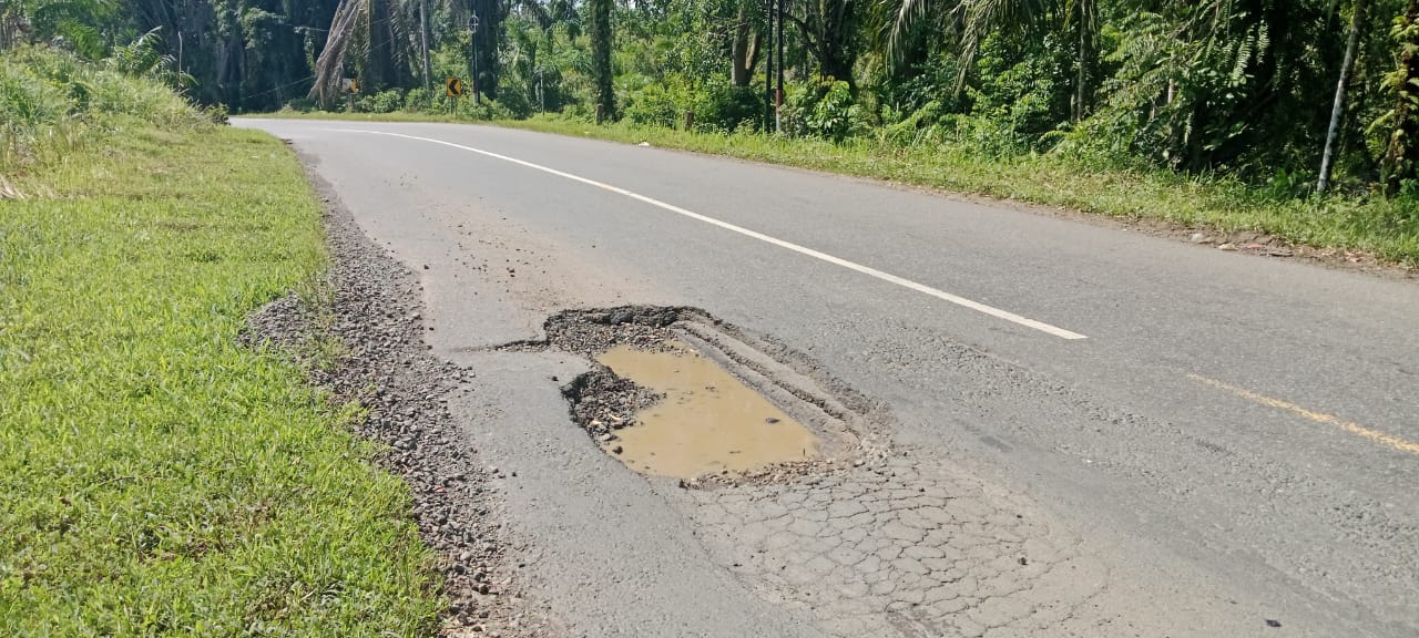 Jelang Nataru, Jalan Lintas Provinsi di Seluma Kembali Rusak dan Berlubang